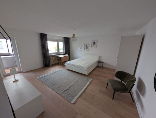 newly renovated 1-room flat (Neckarsulm-Obereisesheim)