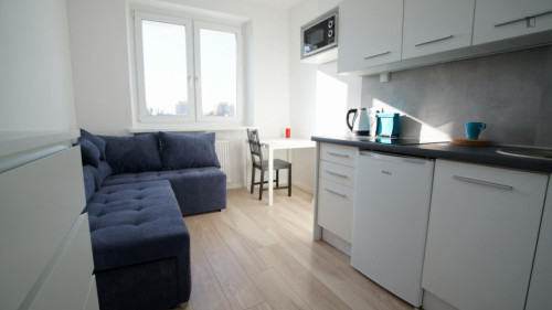 Very nice studio in Stare Bałuty