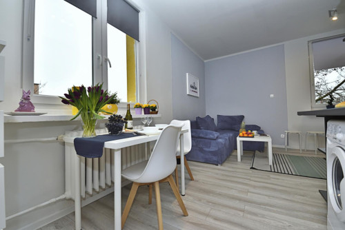 Wonderful studio near the Niciarniana train station