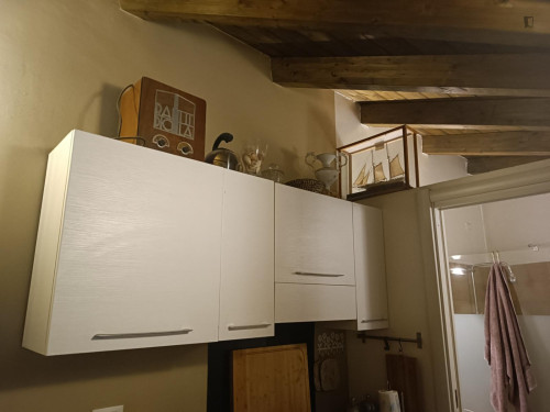 Studio apartment with garden in front of the Colosseum