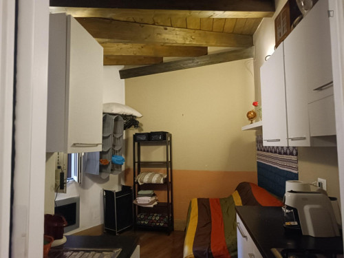 Studio apartment with garden in front of the Colosseum