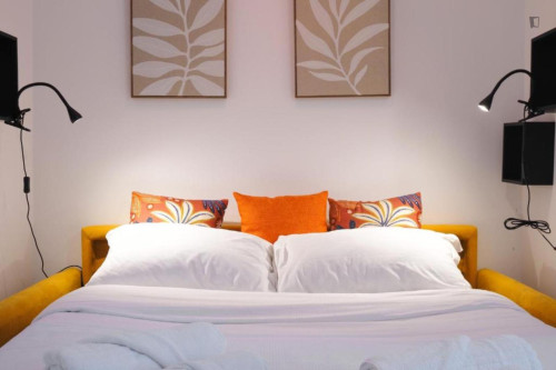 Comfortable studio in Isola area