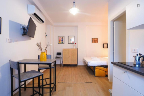 Comfortable studio in Isola area