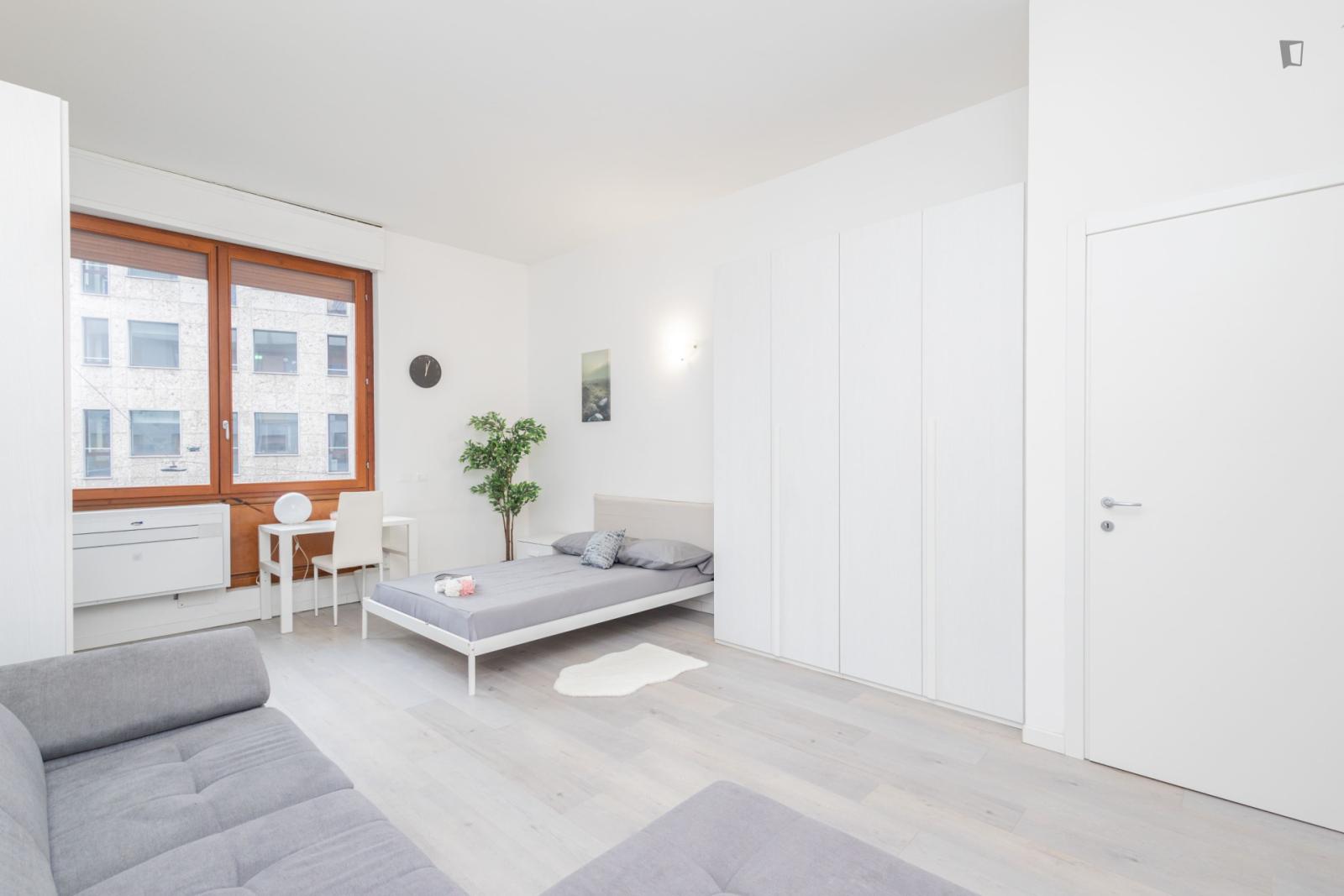 Spacious Double Bedroom In Central Milan - Spacious double bedroom in central Milan - Gallery - 1