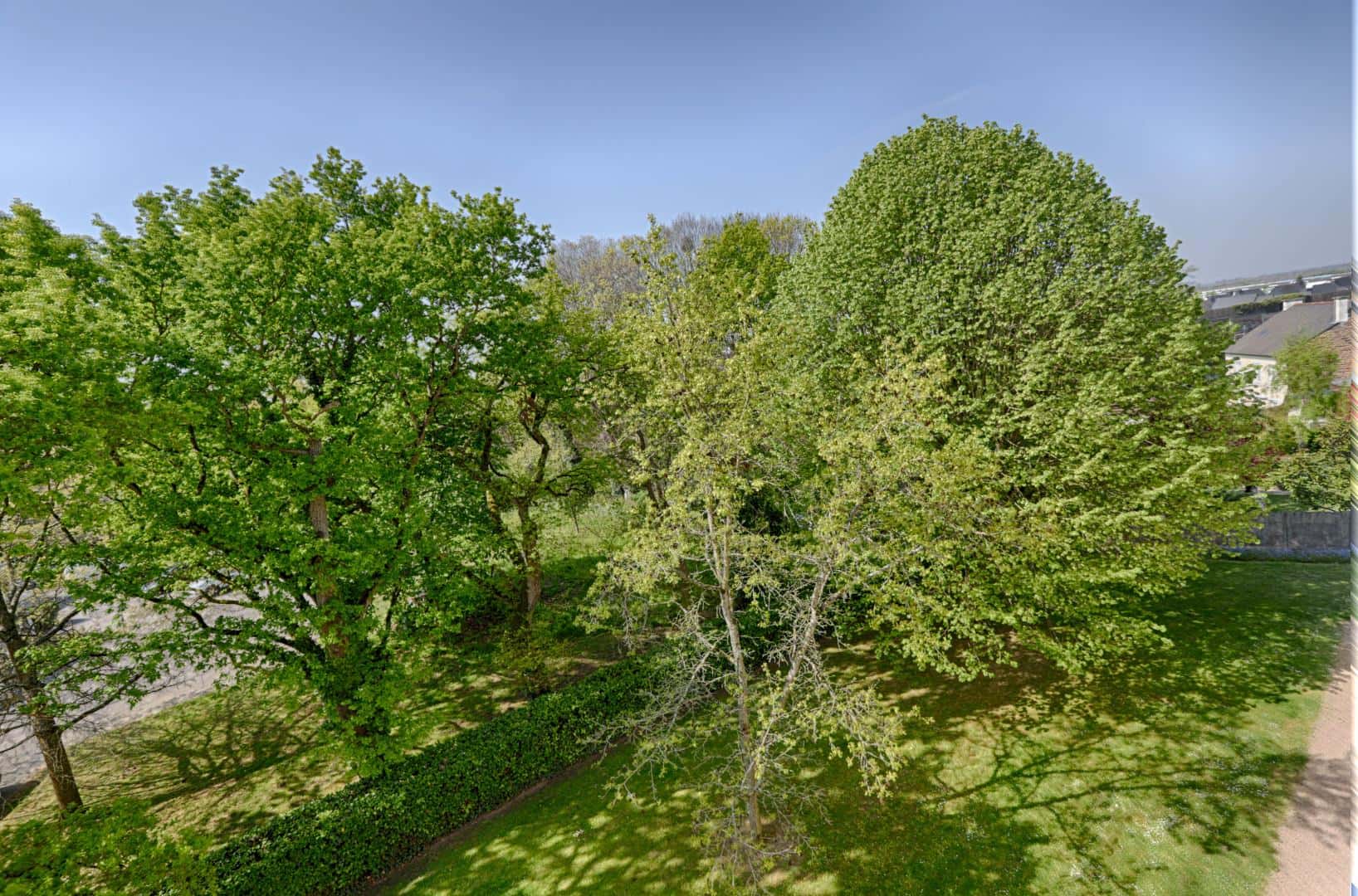 Chambre 1 - ALLEE DU CORMIER - 7