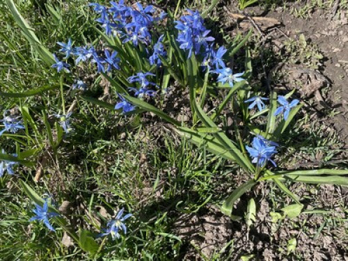 Room for rent in W. Saint Paul, MN