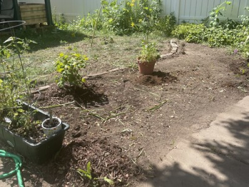 Room for rent in W. Saint Paul, MN  - Gallery -  4