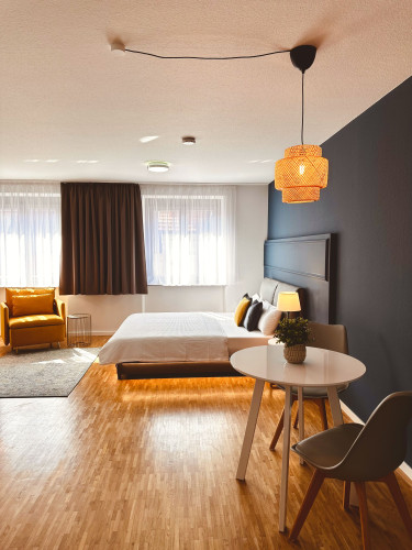 Beautiful central apartment in Neckarsulm - "temporary living" for business/holiday guests