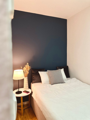 Beautiful central apartment in Neckarsulm - "temporary living" for business/holiday guests