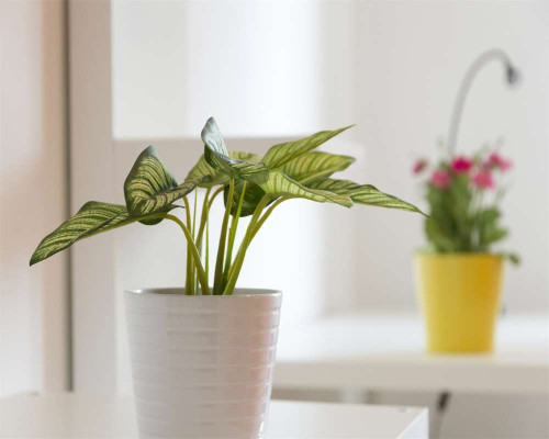 Stanza in Via Salvatore Barzilai