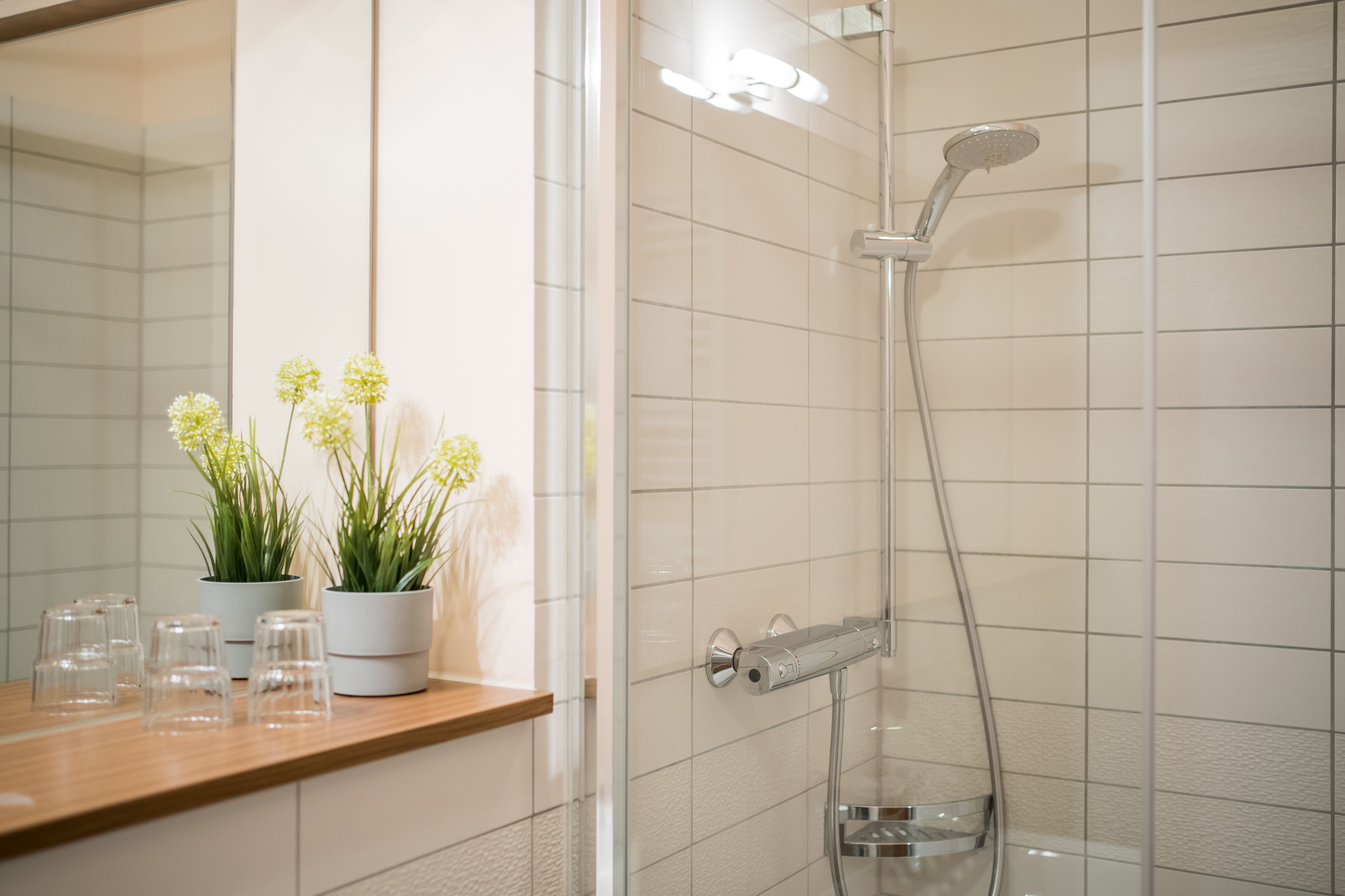  Gorgeous, Pretty Studio In Dresden  -  Gorgeous, pretty studio in Dresden  - Gallery -  1