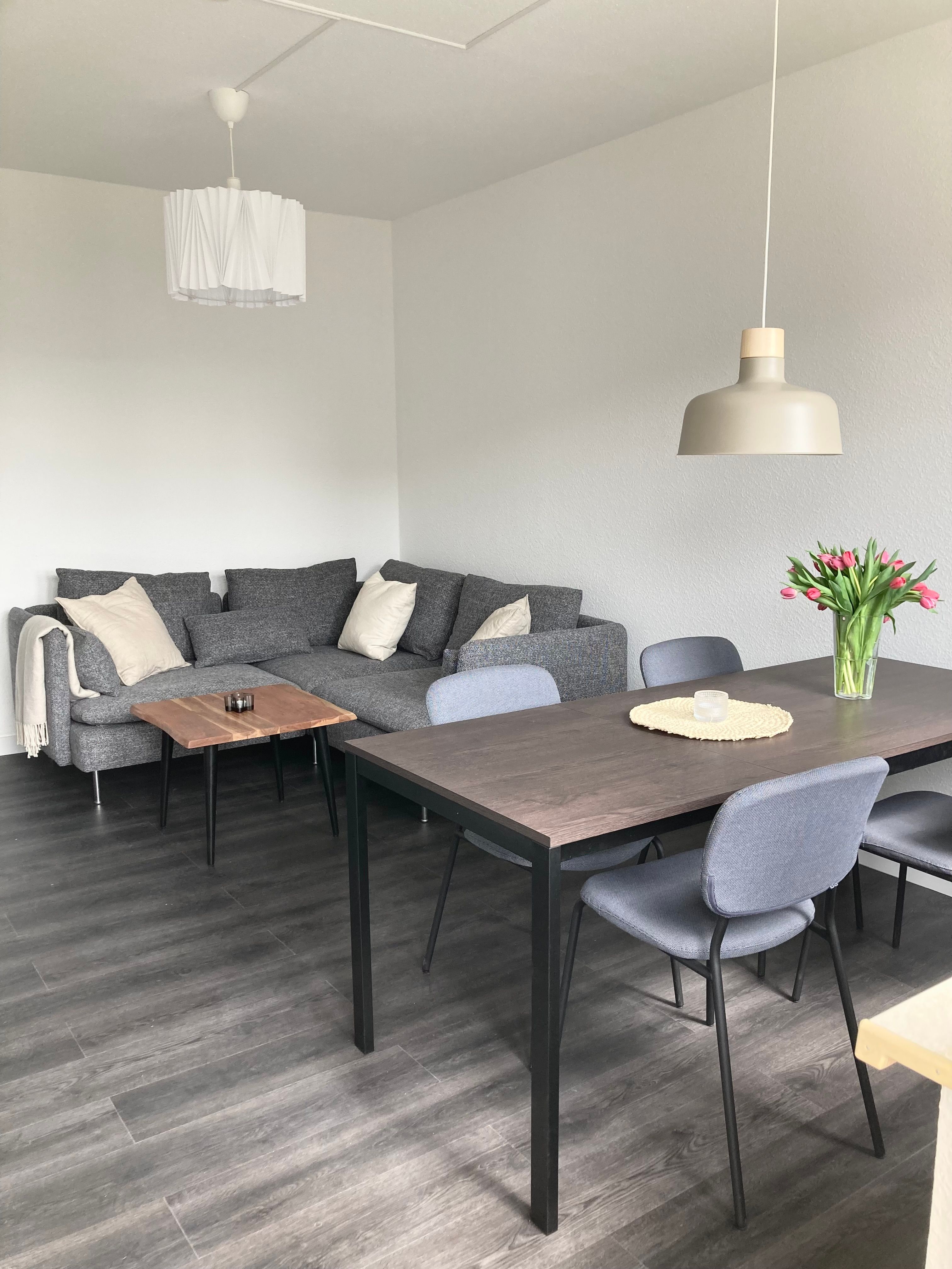  Charming & New Suite Close To City Center And University  -  Charming & new suite close to city center and university  - Gallery -  9