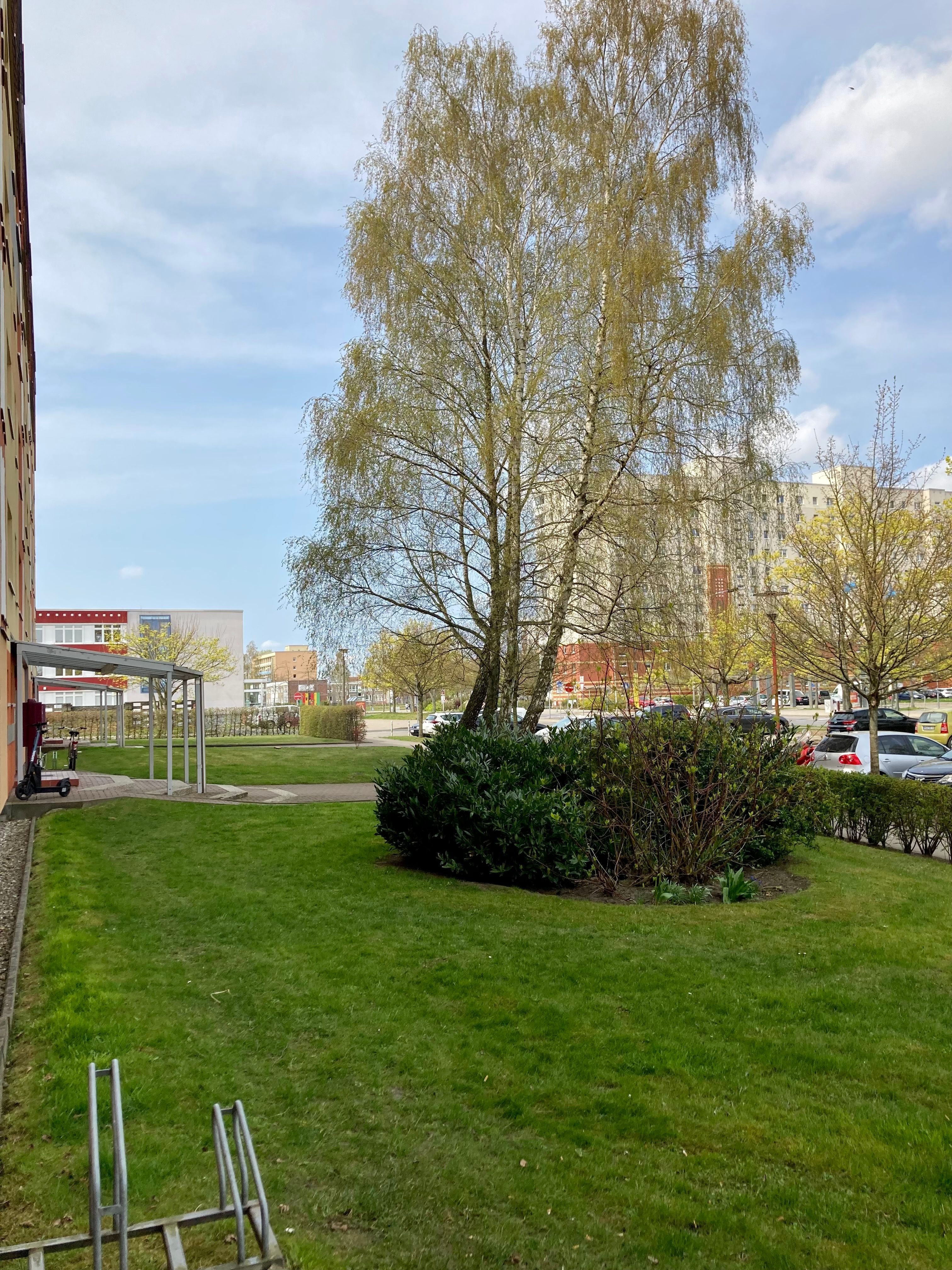  Charming & New Suite Close To City Center And University  -  Charming & new suite close to city center and university  - Gallery -  1