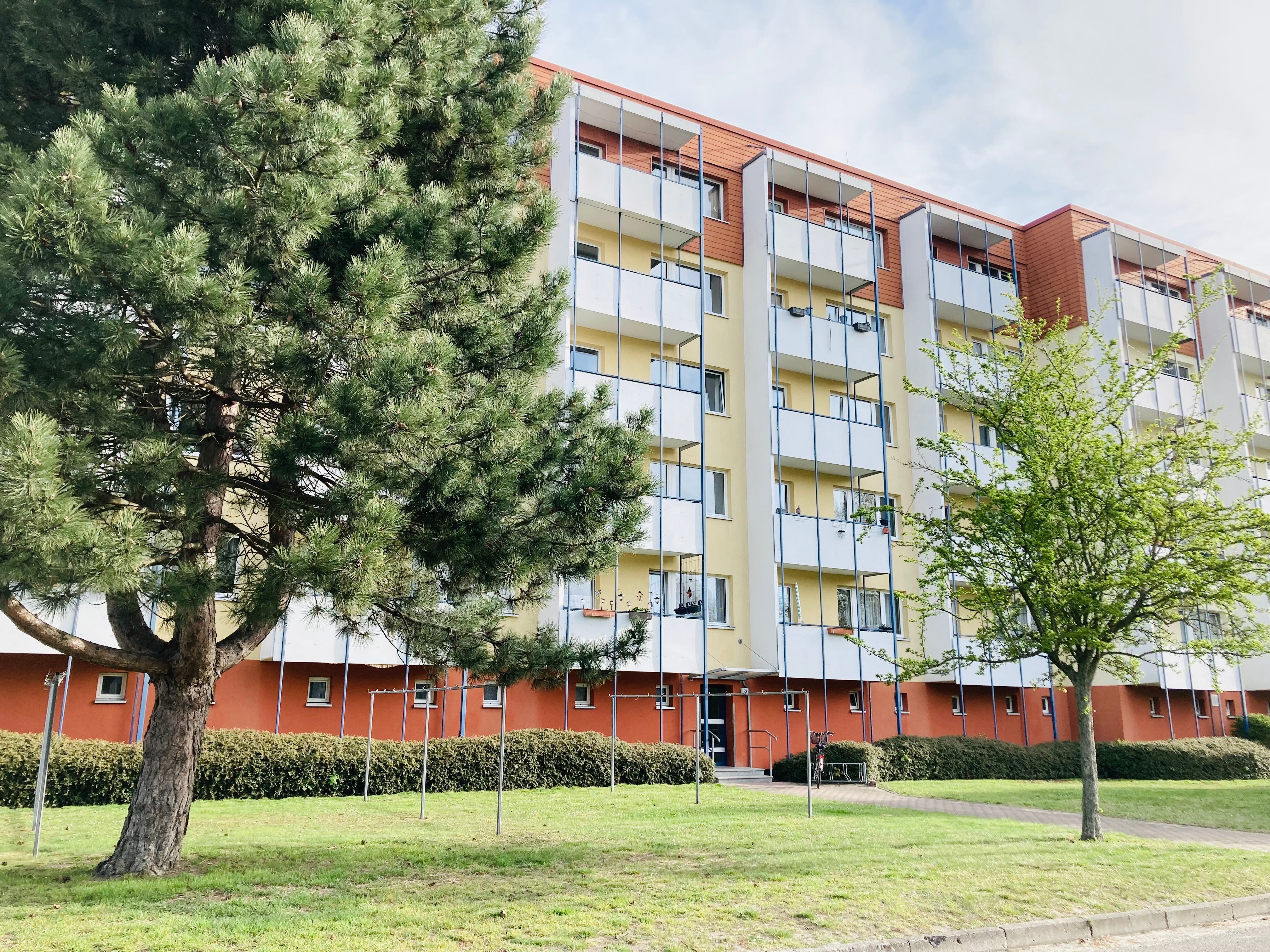  Charming & New Suite Close To City Center And University  -  Charming & new suite close to city center and university  - Gallery -  3