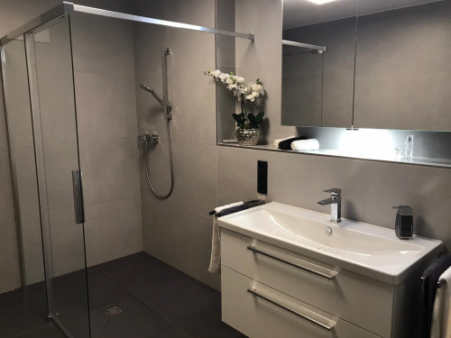 Charming and modern home (Koblenz)