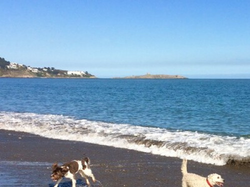 By the beach in Killiney