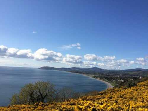 By the beach in Killiney
