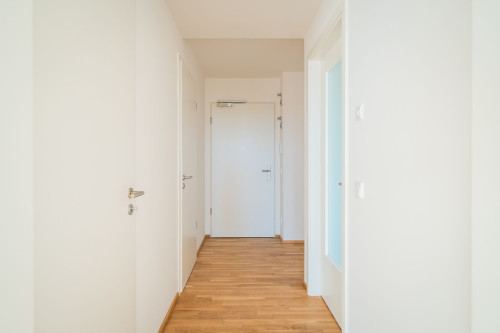 Modern furnished 2-room new-build flat with view of the Elbe - first occupancy - Gallery - 22