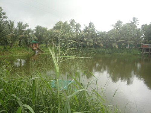 peace and tranquility - Gallery - 20