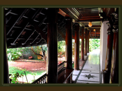 peace and tranquility - Gallery - 25
