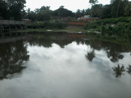 peace and tranquility - Gallery - 12