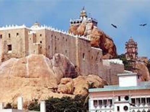 PAARSHEBA VILLA - Gallery - 12