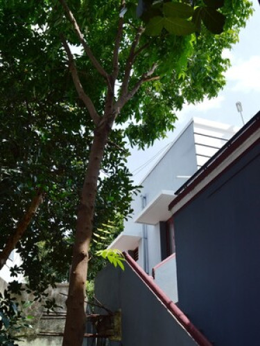 PAARSHEBA VILLA - Gallery - 36