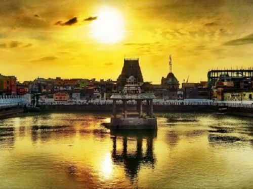 PAARSHEBA VILLA  - Gallery -  5