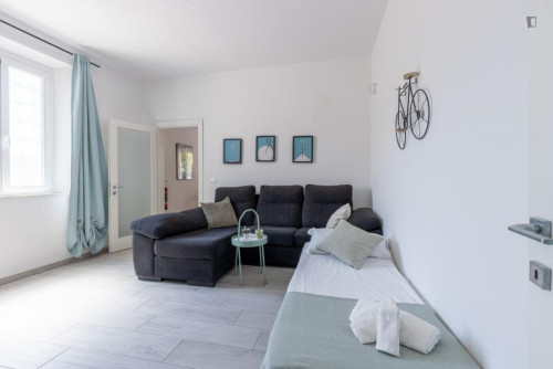 Very cool 2-bedroom apartment near the Pisa International Airport