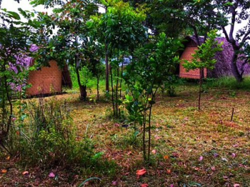 vue grand hilltop - Gallery - 25