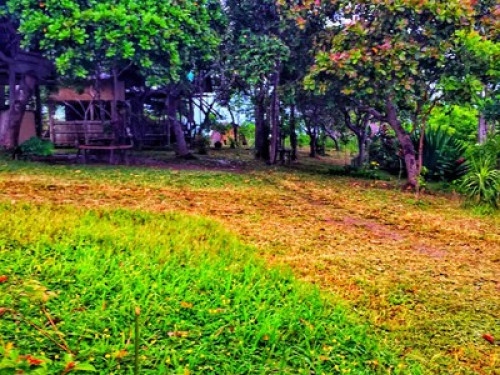 vue grand hilltop - Gallery - 26
