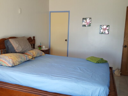 BELLA LOUISE HOUSE   - Gallery -  5