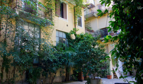 1-Bedroom flat near Stazione Centrale  - Gallery -  5