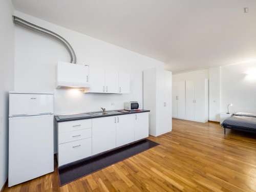 Great looking studio minutes away from Politecnico di Milano - Campus Bovisa Durando - Gallery - 19