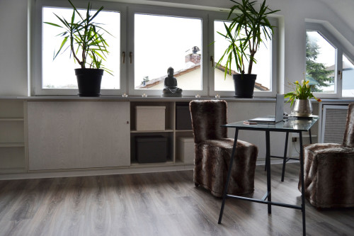 Fashionable studio (Hainburg)