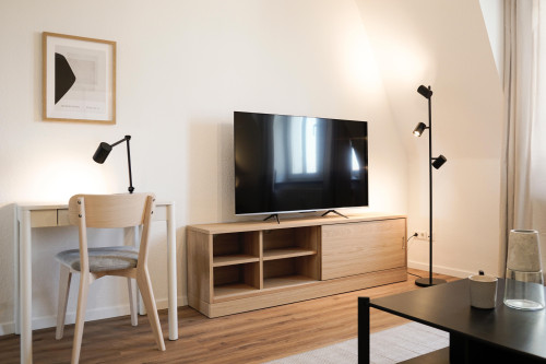 fully furnished 2 room Apartment in Dresden Mickten