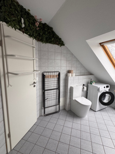 Charming attic apartment in the heart of Dresden