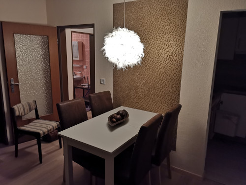 Fully furnished apartment in the centre of Mitterfelden (Ainring)