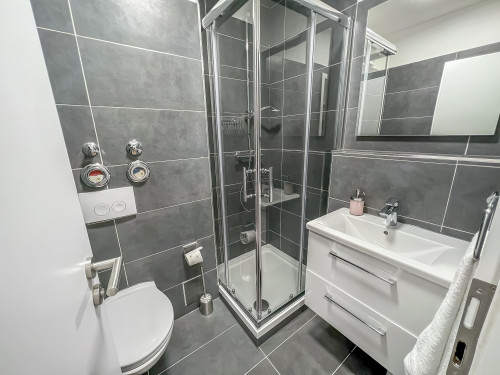 Modern Studio Apartment in Stein/Nuremberg - workspace, kitchen, WLAN, fully equipped, SELF-CHECKIN, ALL INCLUSIVE - Gallery - 10