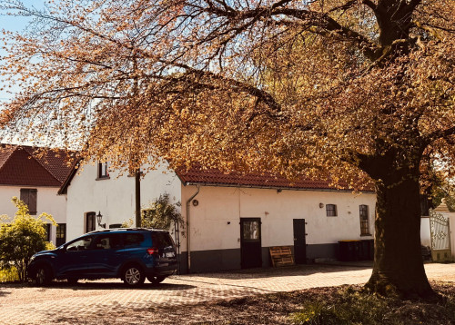 Inviting Country Cottage – Hof Ten Berge, Kleve, Lower Rhine - Gallery - 4