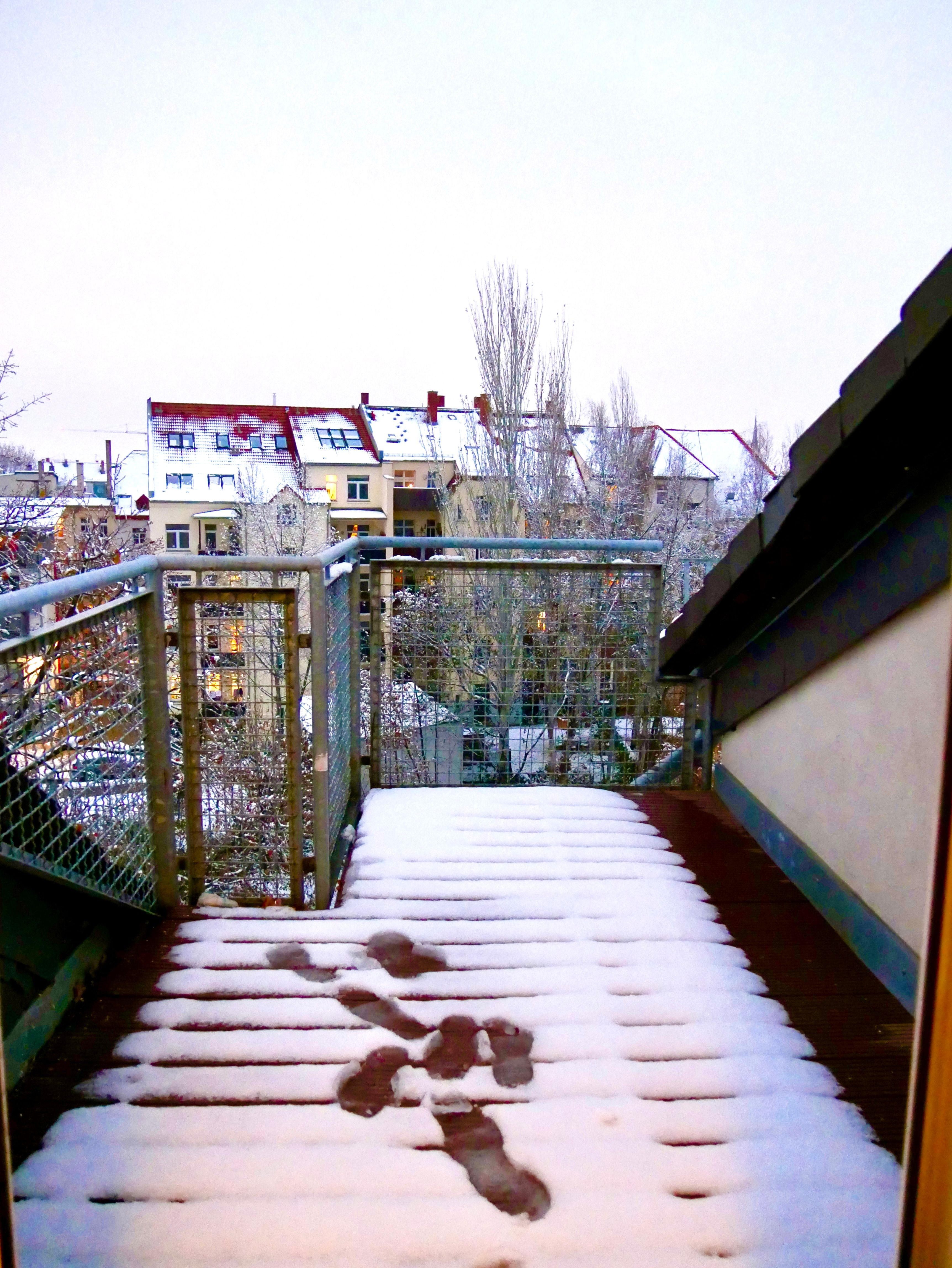 Fantastic 2 Room Apartment, Very Central, With Terrace + Balcony, Newly Renovated. - 6