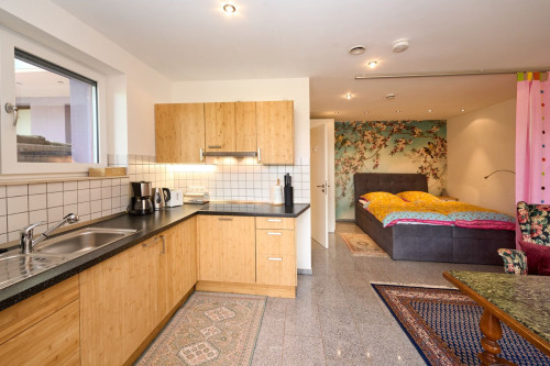 Luxus Studio in Trier, 10 Min zur Porta Nigra, inkl Parkplatz