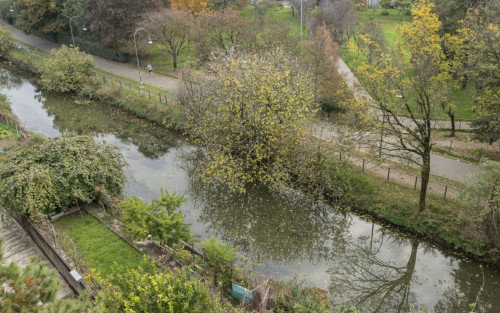 Neat 1 bedroom apartment in Crescenzago