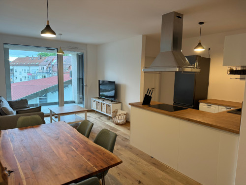 Exclusive, centrally located apartment in Ulm with excellent transport connections