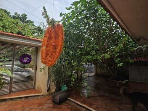 Habitación. Cocino y enseño español