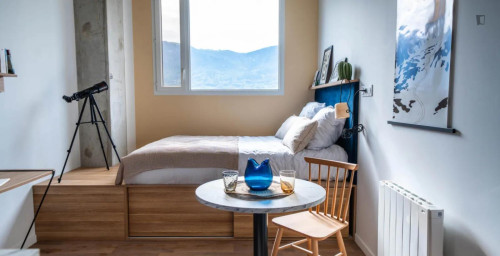 Comfy and elegant private single bedroom in Archamps  - Gallery -  5