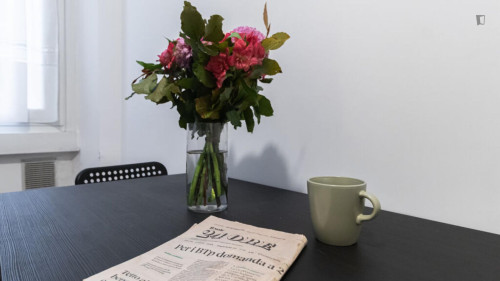 Attractive 1-bedroom apartment in the Zara area