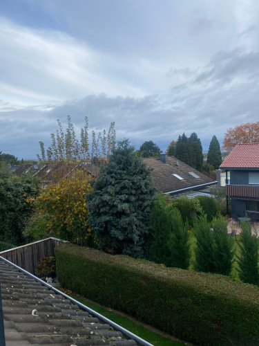 Wonderful, pretty 2 room appartment in nature Bornheim