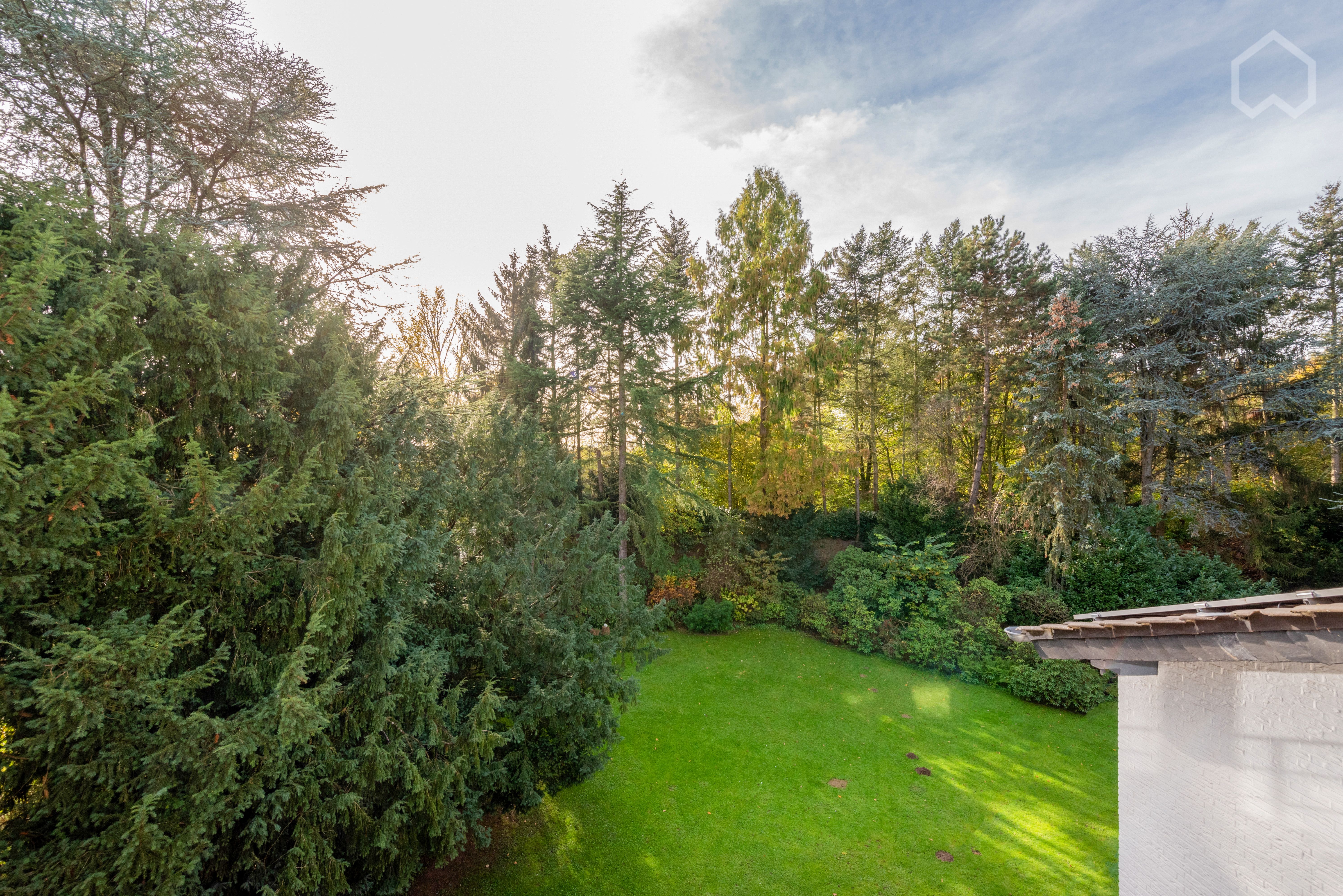  Wonderful Suite (Moers)  -  Wonderful suite (Moers)  - Gallery -  6