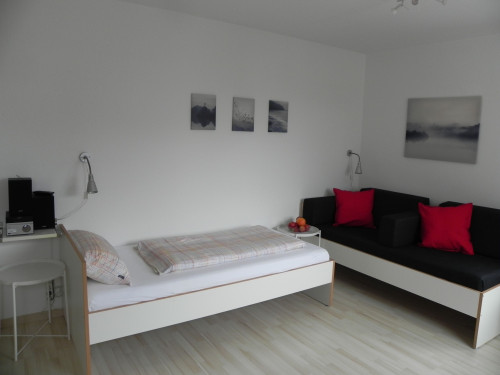 Studio-Apartment - centrally located, Danube + Ulm by foot, private parking, lift, W-LAN